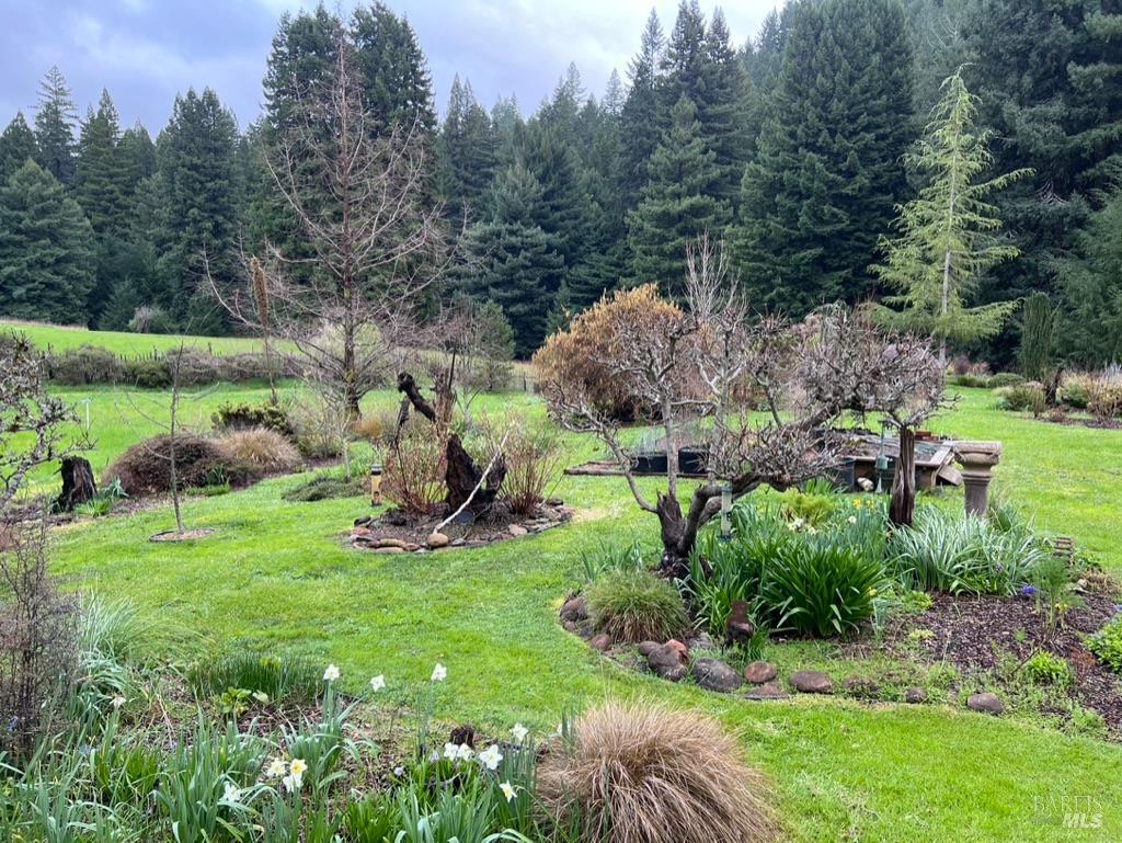 31501 Comptche Ukiah Road Comptche CA 95427