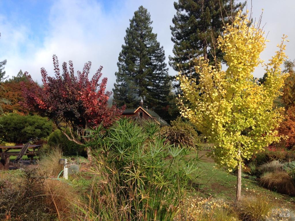 31501 Comptche Ukiah Road Comptche CA 95427