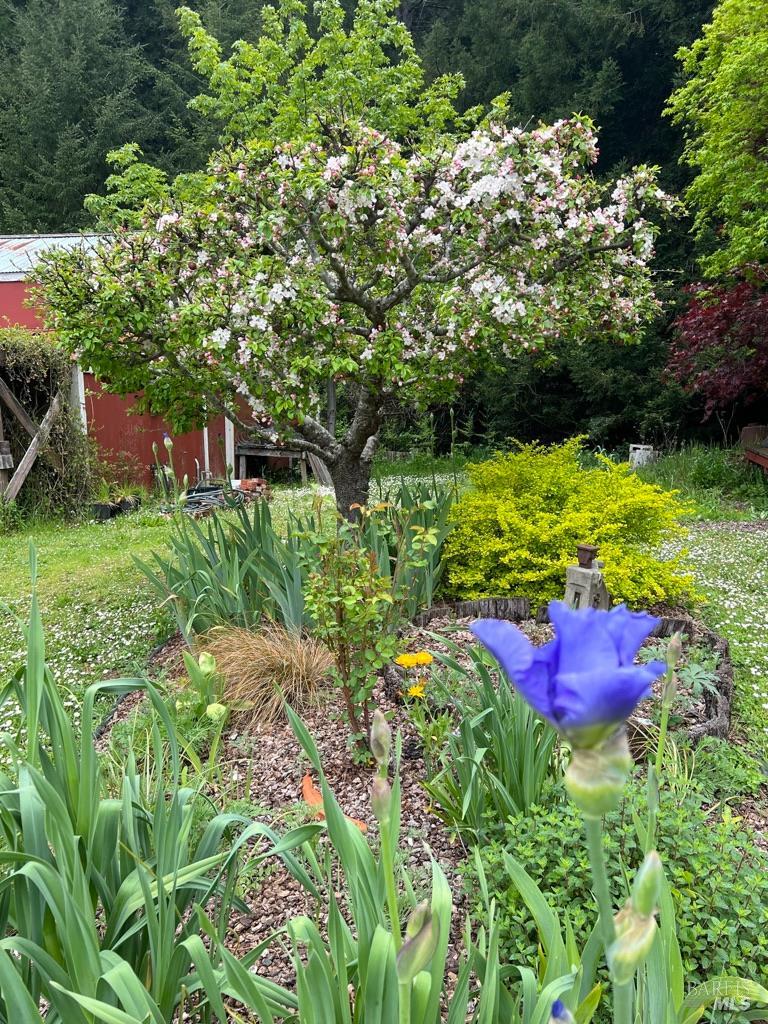 31501 Comptche Ukiah Road Comptche CA 95427