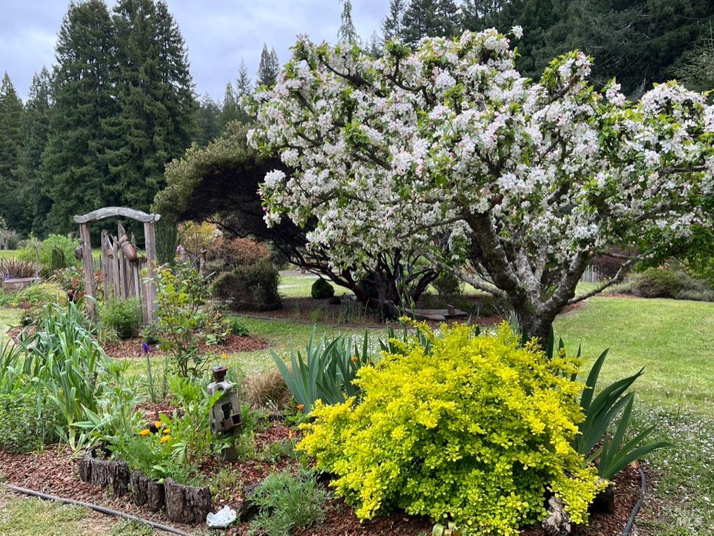 31501 Comptche Ukiah Road Comptche CA 95427