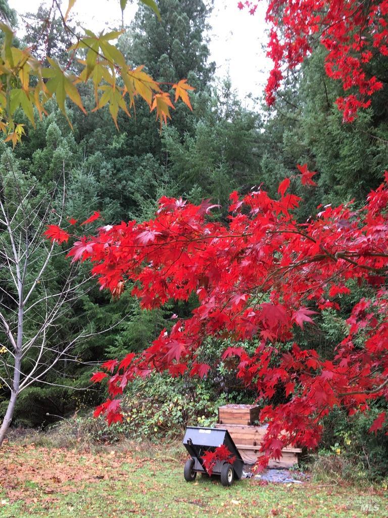 31501 Comptche Ukiah Road Comptche CA 95427