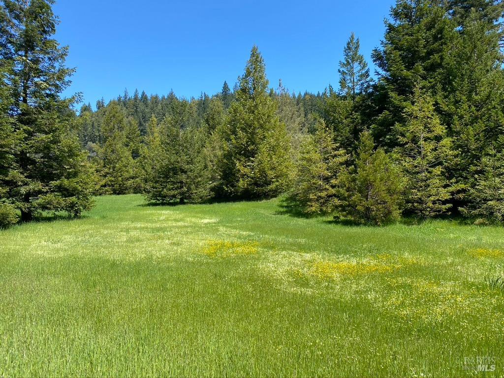 31501 Comptche Ukiah Road Comptche CA 95427