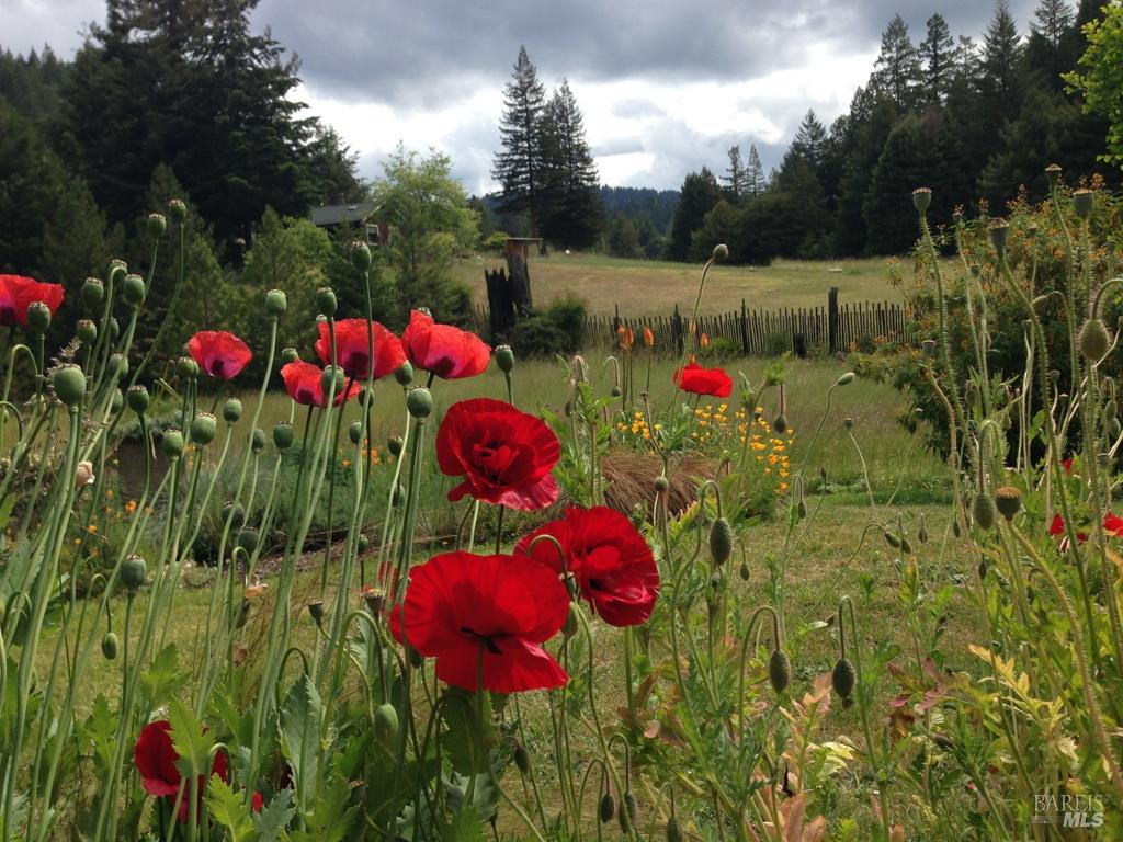 31501 Comptche Ukiah Road Comptche CA 95427