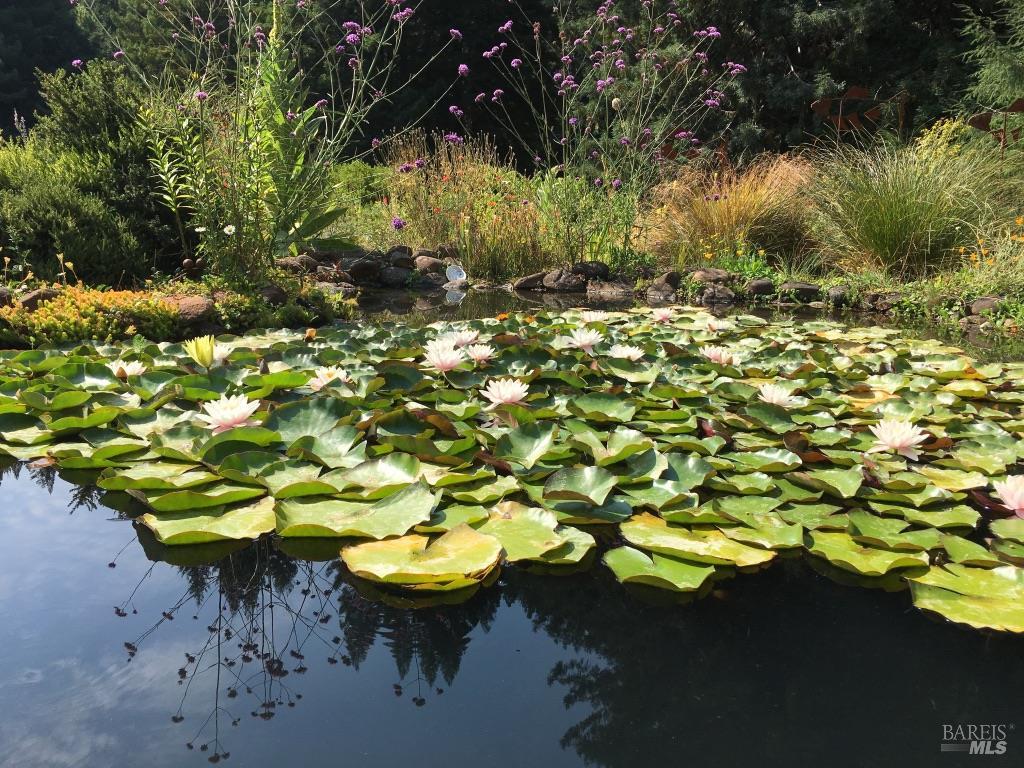 31501 Comptche Ukiah Road Comptche CA 95427