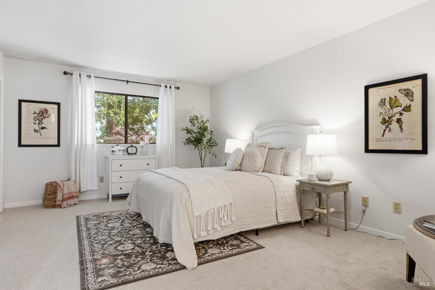 903 Hacienda Circle Rohnert Park CA 94928