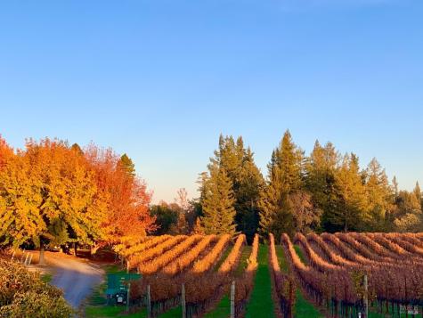 4605 Gravenstein Highway N Sebastopol CA 95472