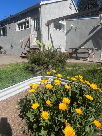 2103 Bodega Avenue Petaluma CA 94952
