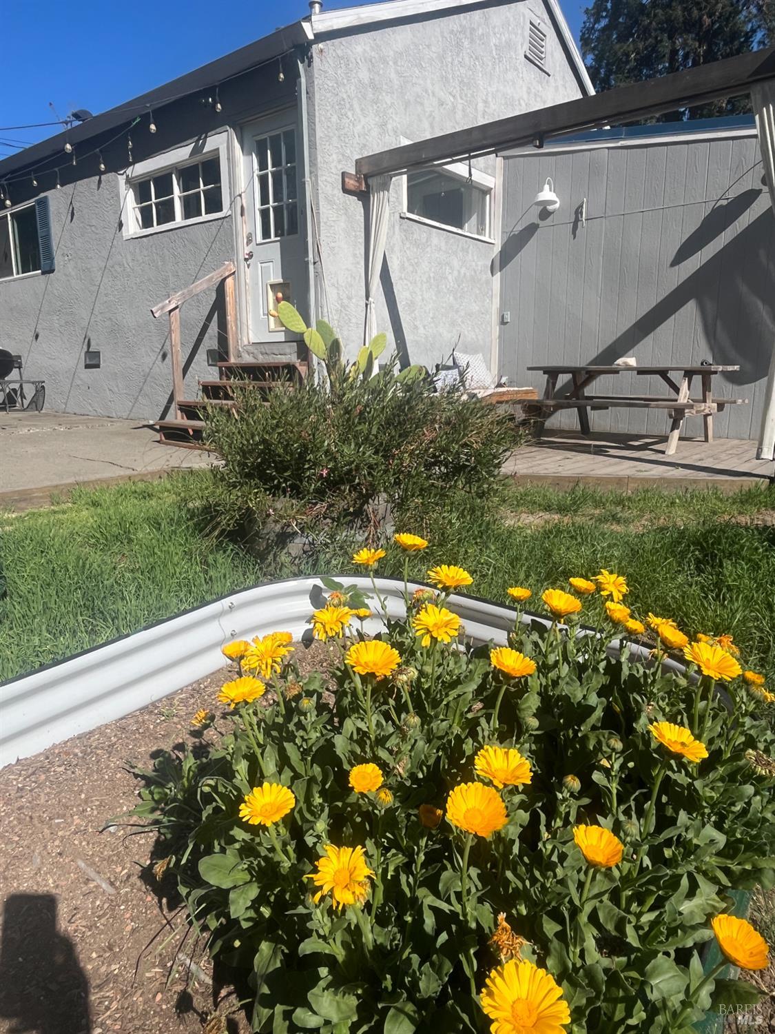 2103 Bodega Avenue Petaluma CA 94952