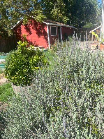2103 Bodega Avenue Petaluma CA 94952