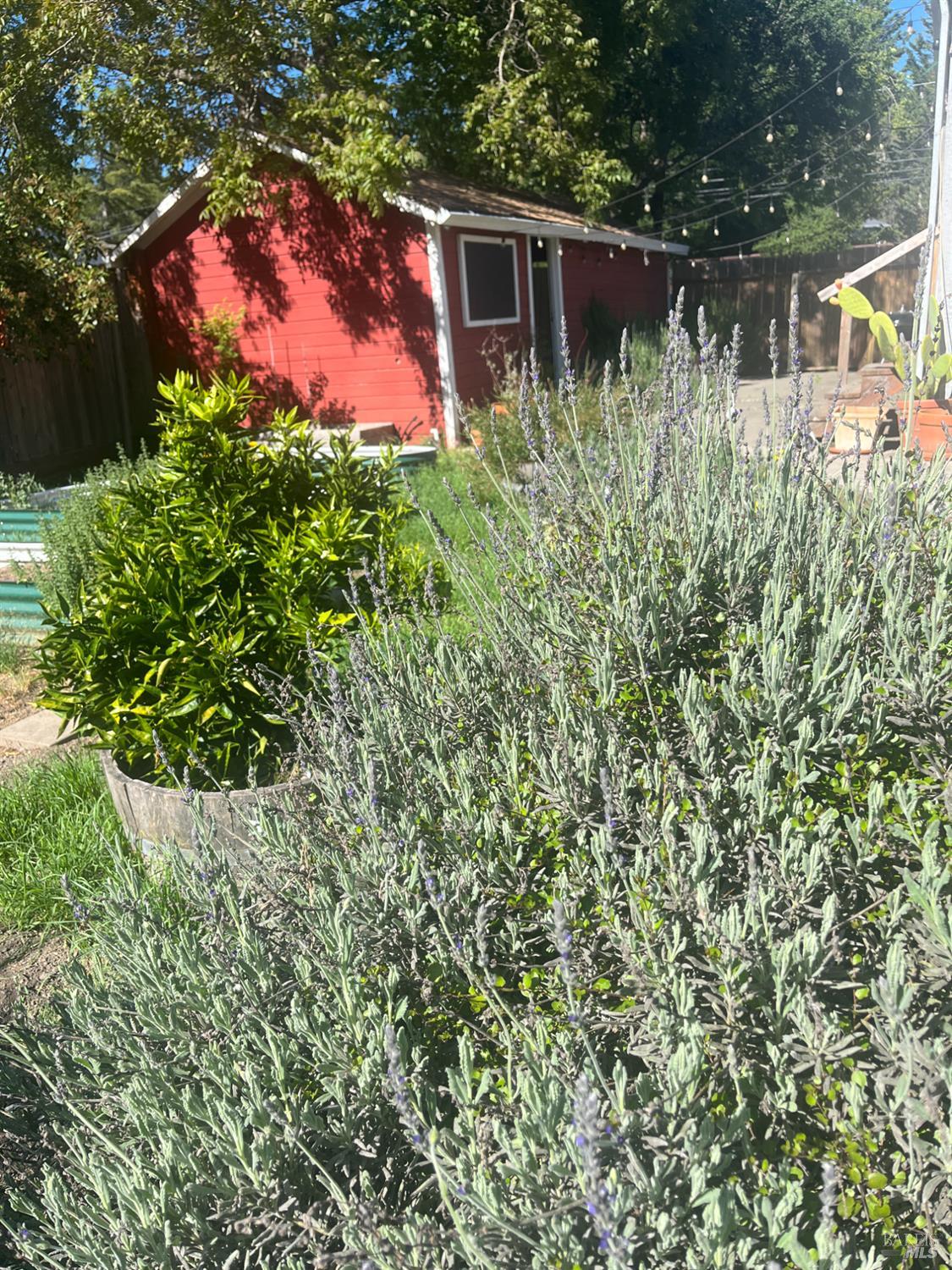 2103 Bodega Avenue Petaluma CA 94952