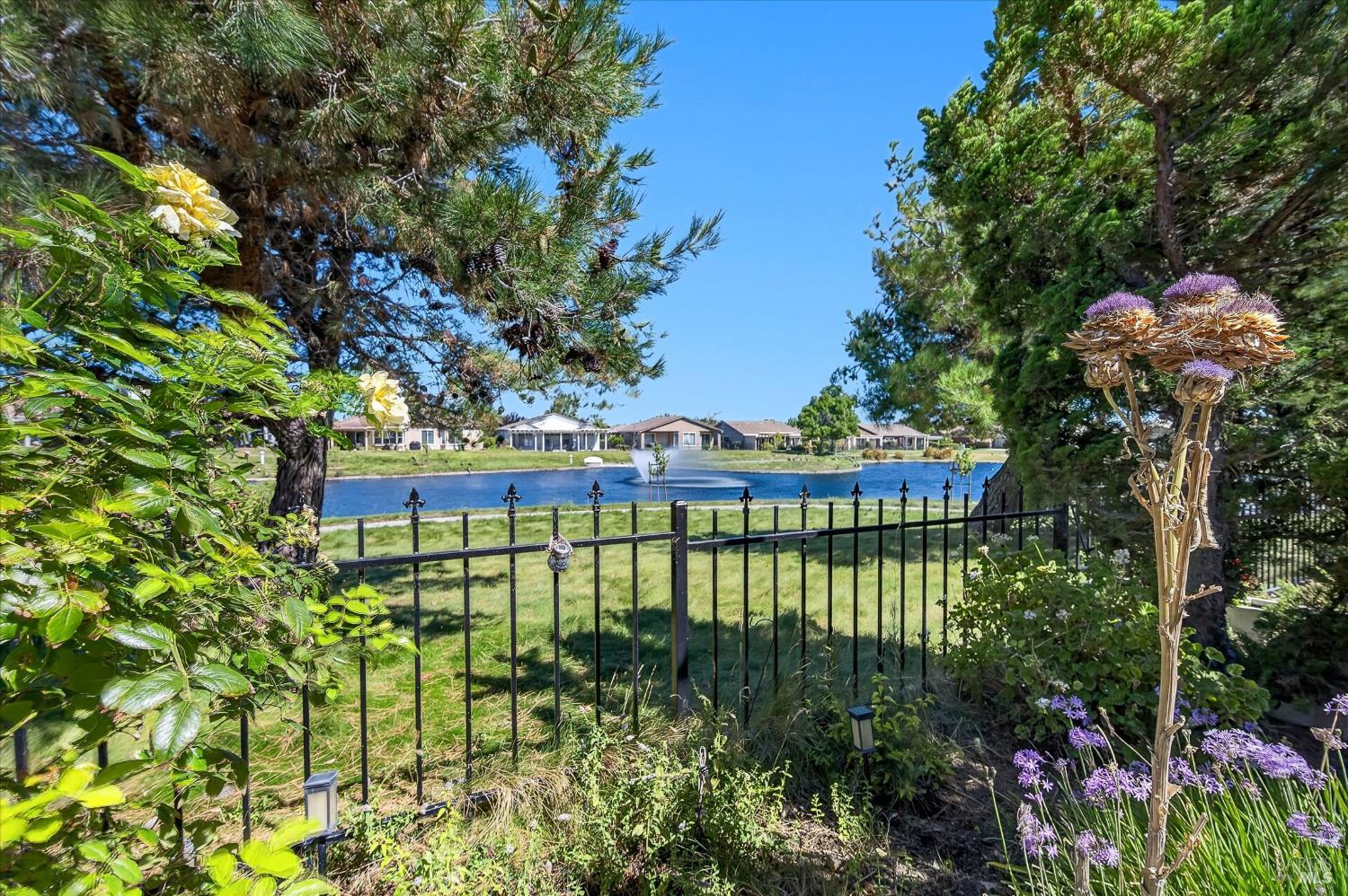 342 Desert Forest Court Rio Vista CA 94571