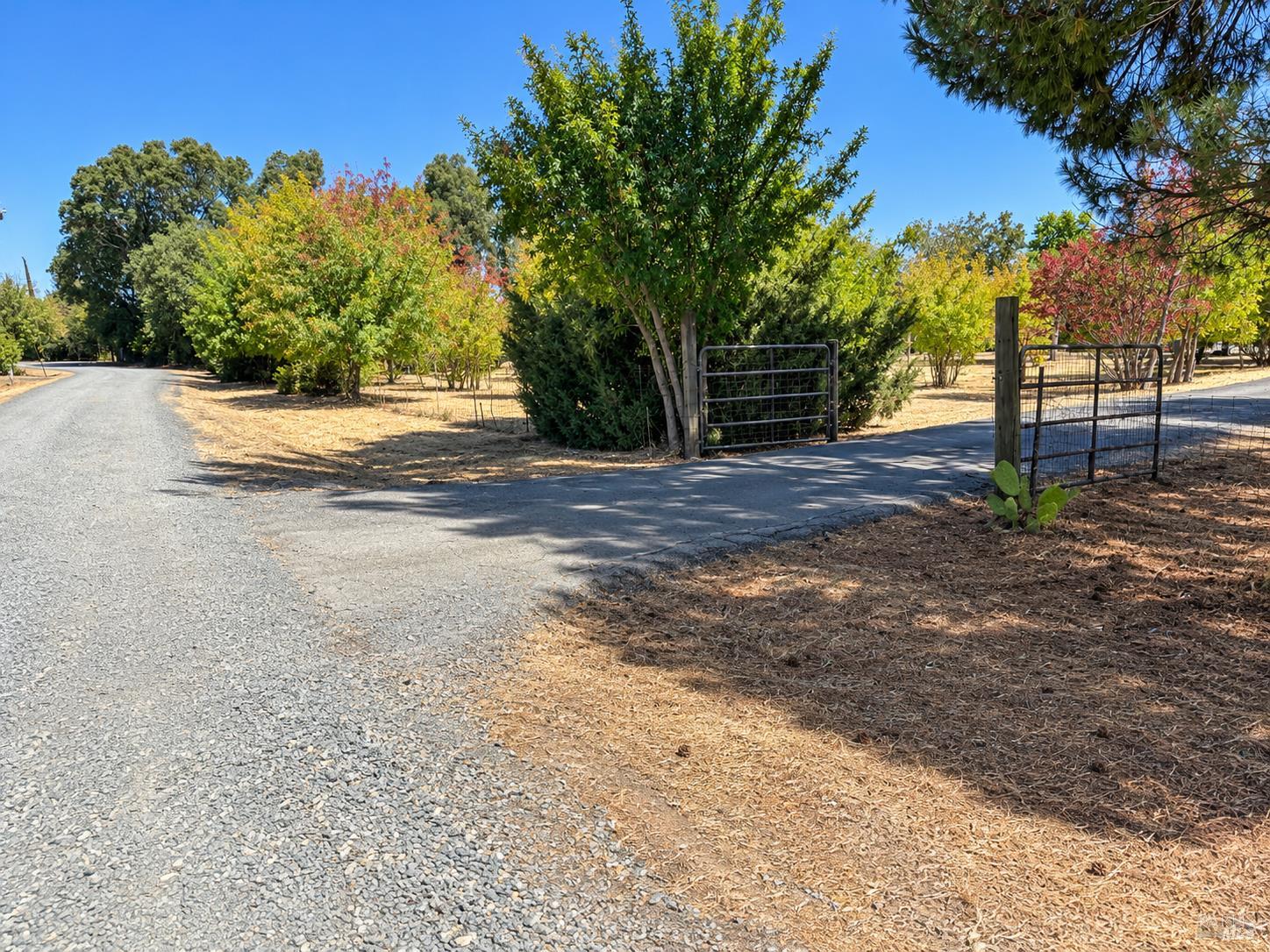 7874 Heather Lane Vacaville CA 95688