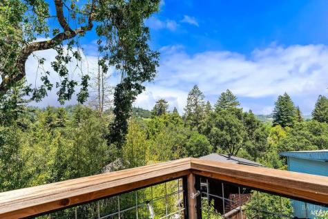 9545 Valle Vista Road Forestville CA 95436
