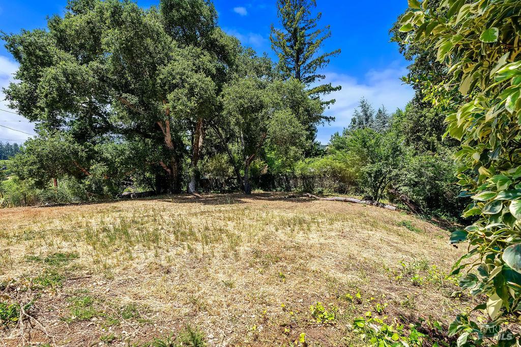 9545 Valle Vista Road Forestville CA 95436