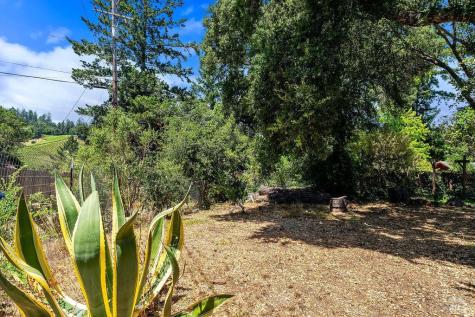 9545 Valle Vista Road Forestville CA 95436