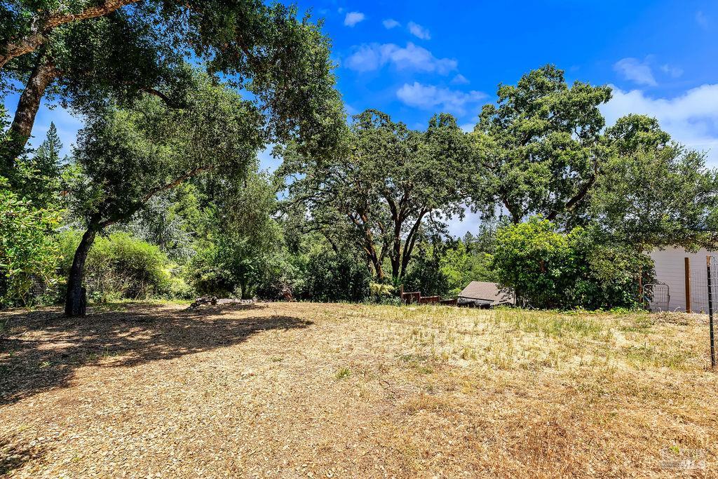 9545 Valle Vista Road Forestville CA 95436