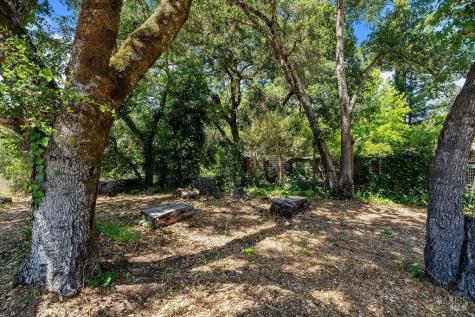 9545 Valle Vista Road Forestville CA 95436