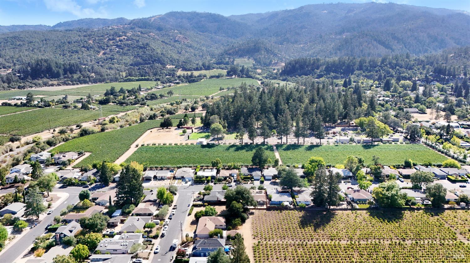 2040 Olive Avenue St. Helena CA 94574