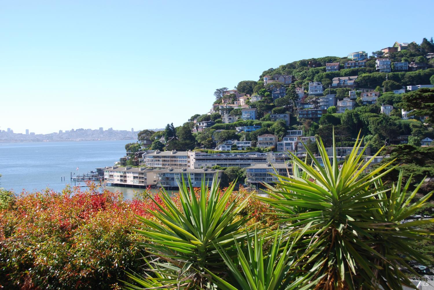 307 North Street Sausalito CA 94965