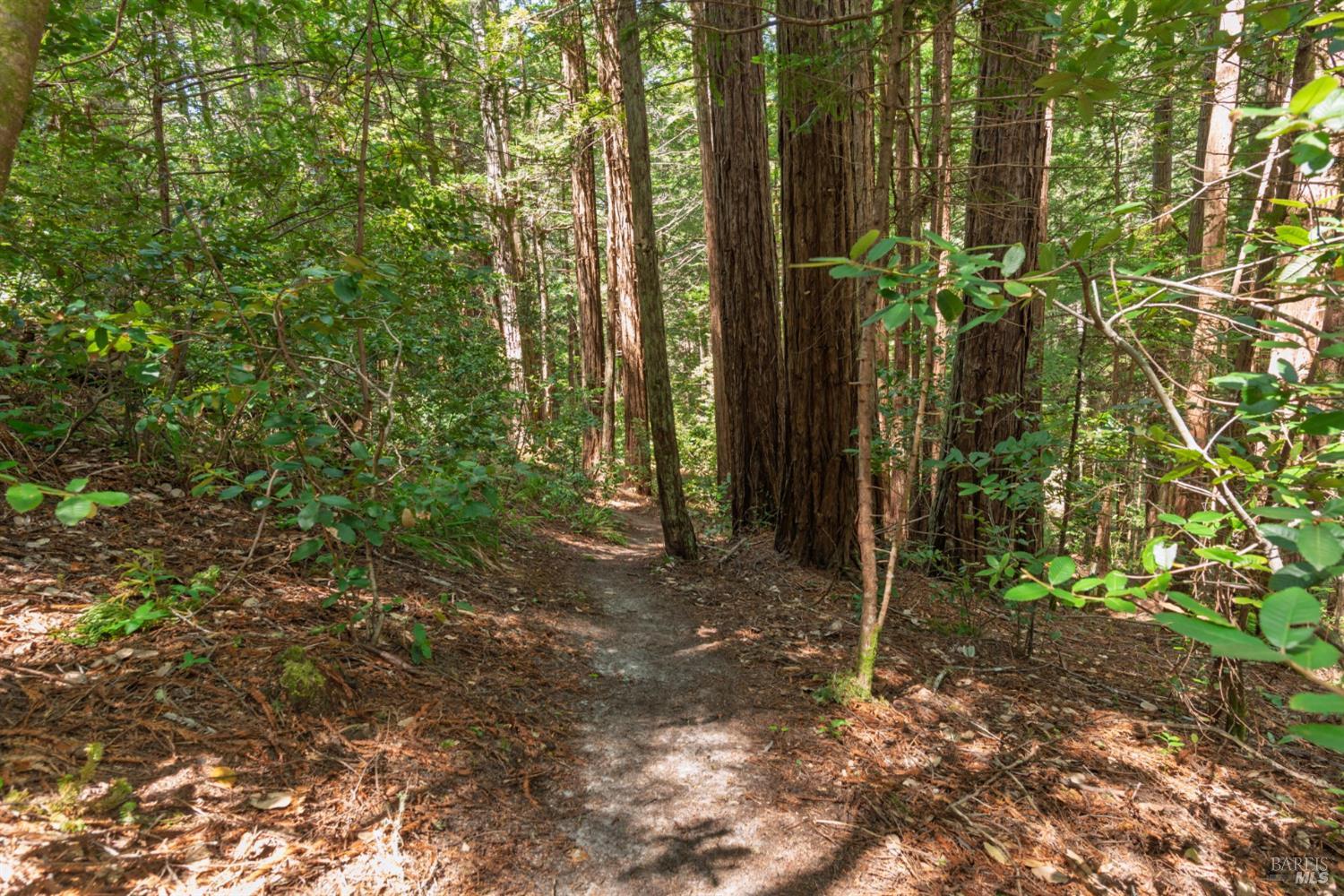 32401 S Highway 1 Gualala CA 95445