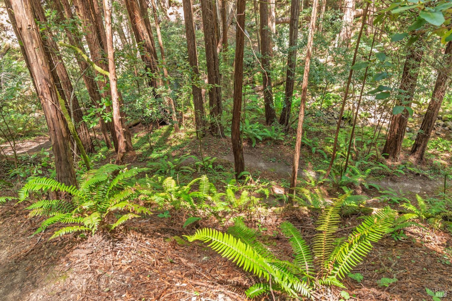 32401 S Highway 1 Gualala CA 95445