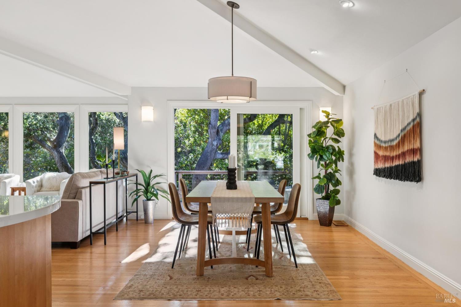 56 Las Casas Drive San Rafael CA 94901
