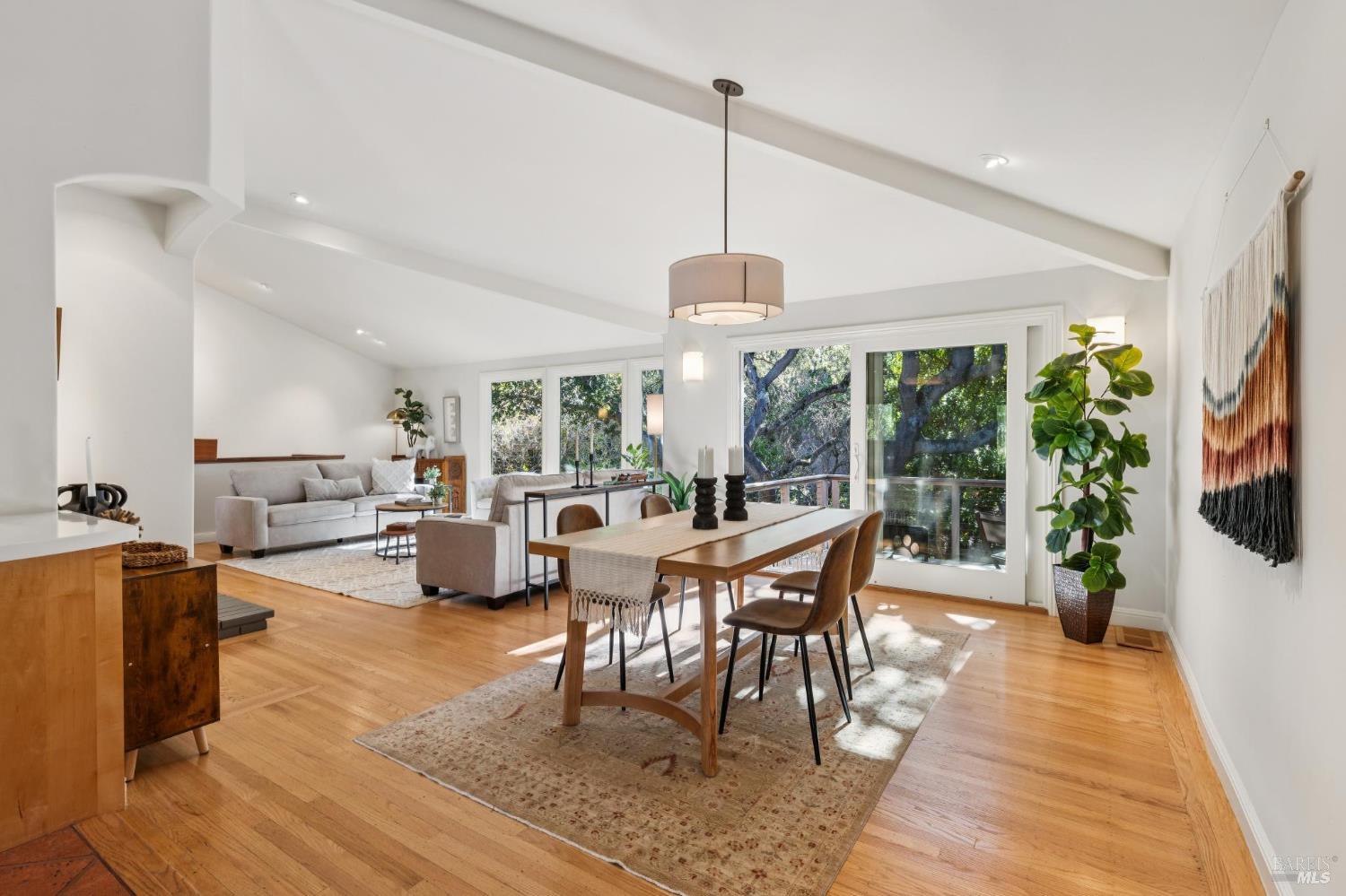 56 Las Casas Drive San Rafael CA 94901