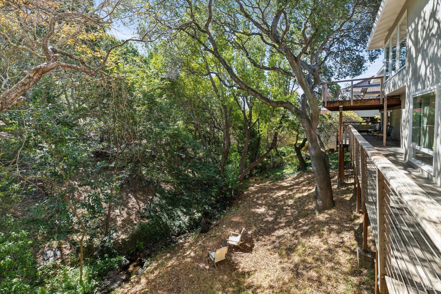 56 Las Casas Drive San Rafael CA 94901