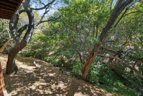 56 Las Casas Drive San Rafael CA 94901