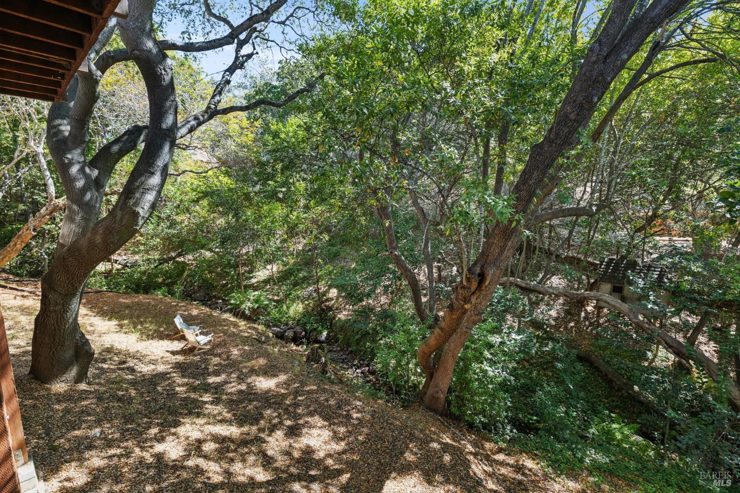 56 Las Casas Drive San Rafael CA 94901