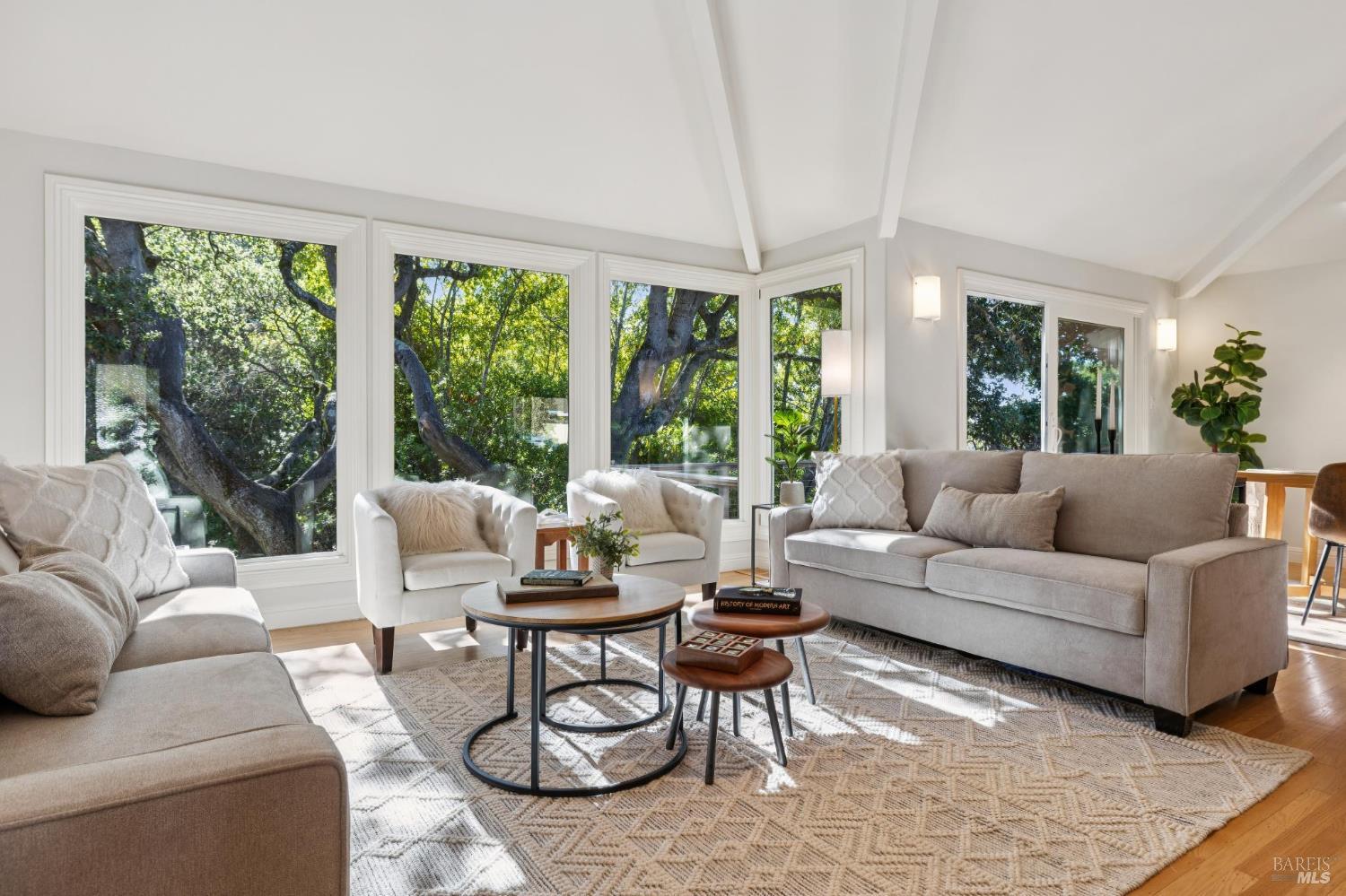 56 Las Casas Drive San Rafael CA 94901