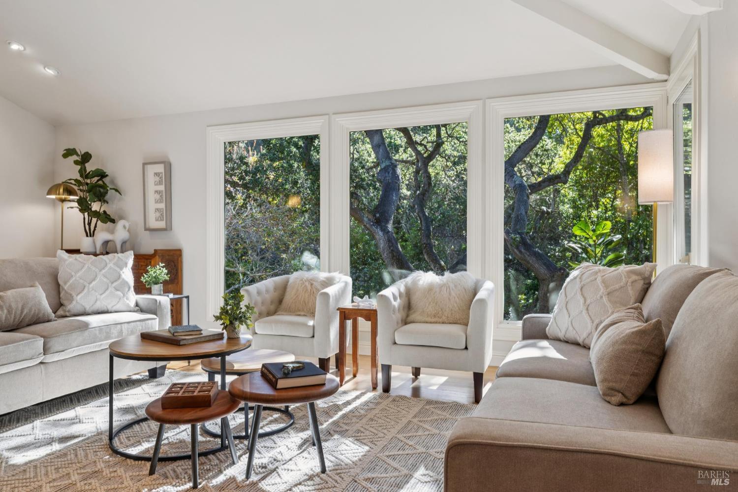 56 Las Casas Drive San Rafael CA 94901