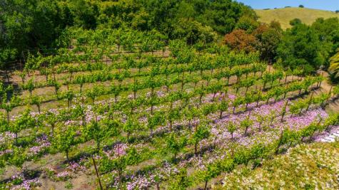 25 Saddle Lane Novato CA 94947
