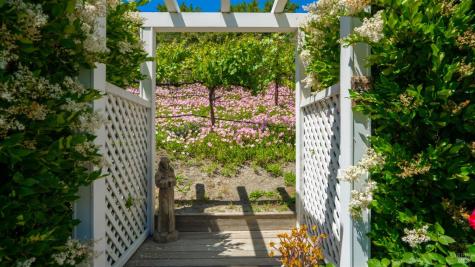 25 Saddle Lane Novato CA 94947