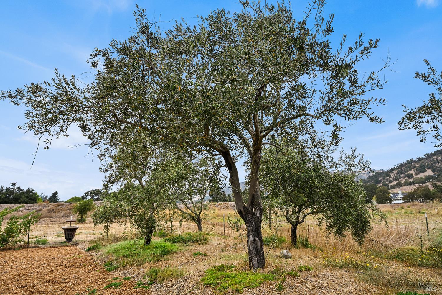 6295 Sonoma Highway Santa Rosa CA 95409