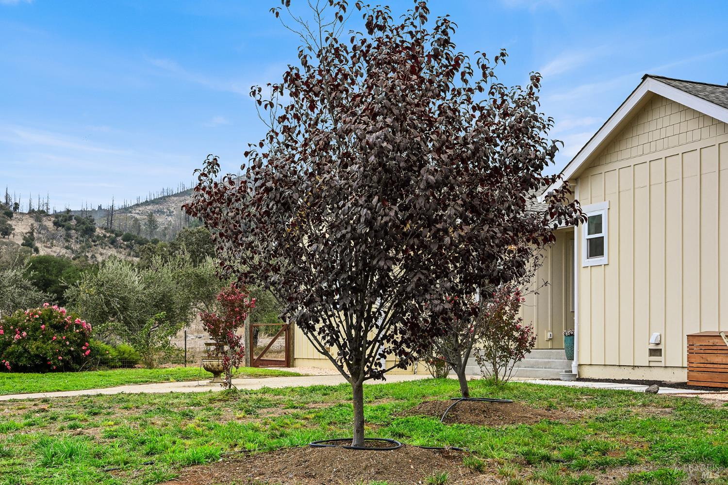 6295 Sonoma Highway Santa Rosa CA 95409