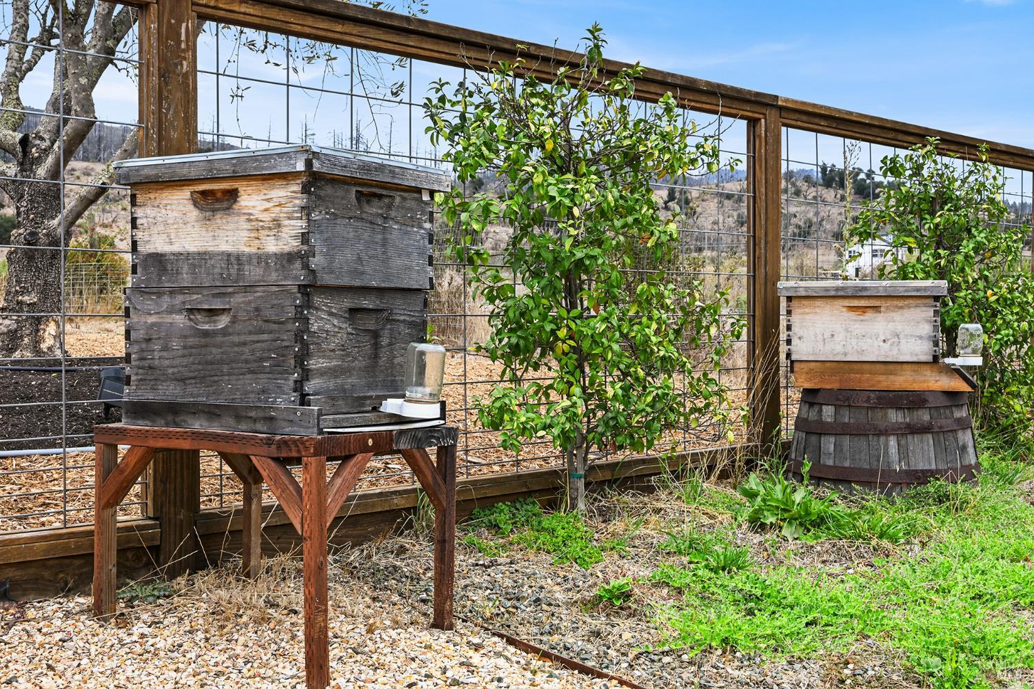 6295 Sonoma Highway Santa Rosa CA 95409