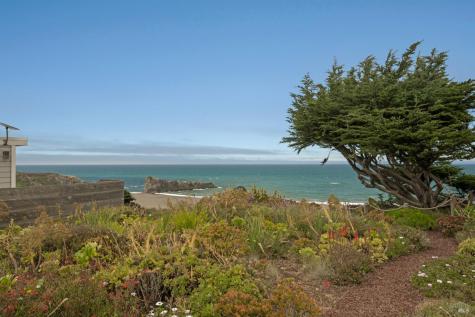 7036 Cliff Avenue Bodega Bay CA 94923
