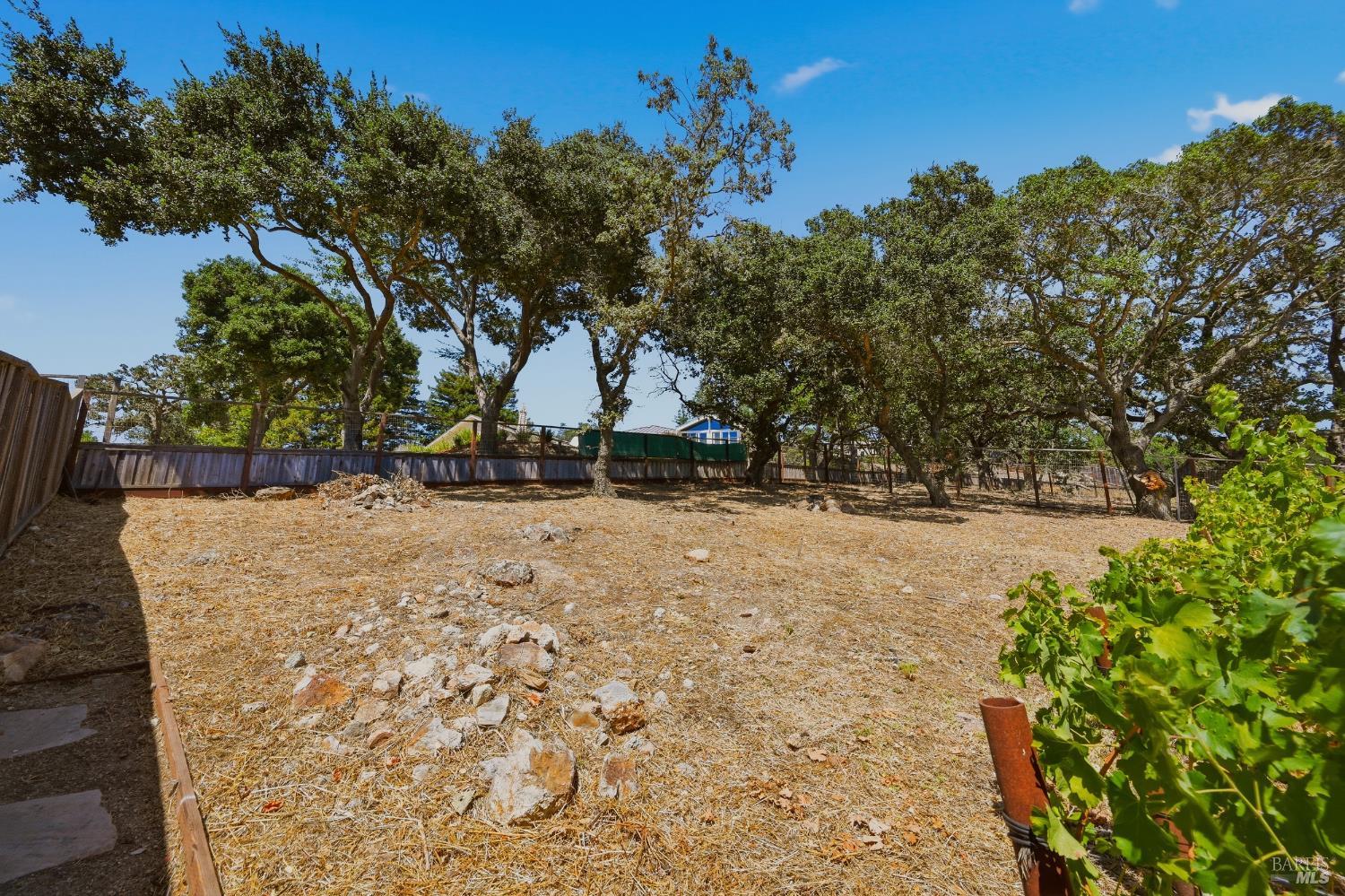1120 Pennyroyal Street Napa CA 94559