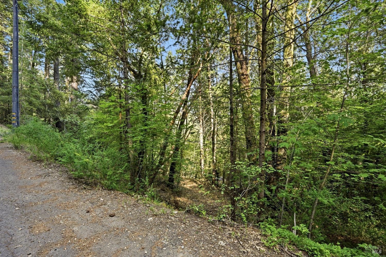 17097 Dogwood Way Middletown CA 95461