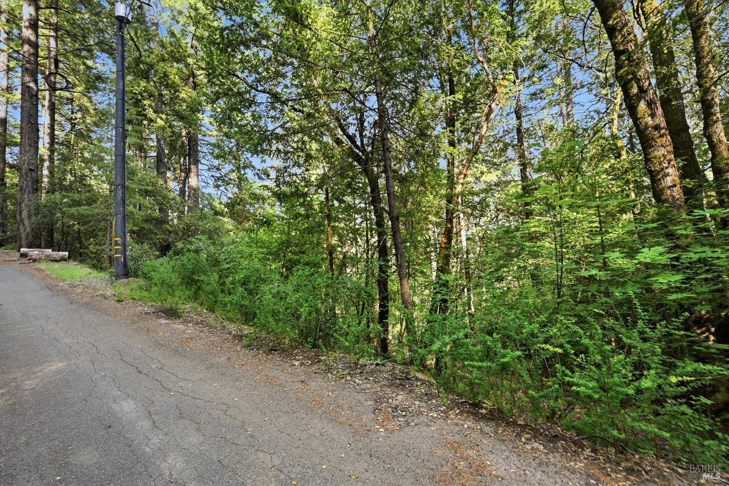 17097 Dogwood Way Middletown CA 95461