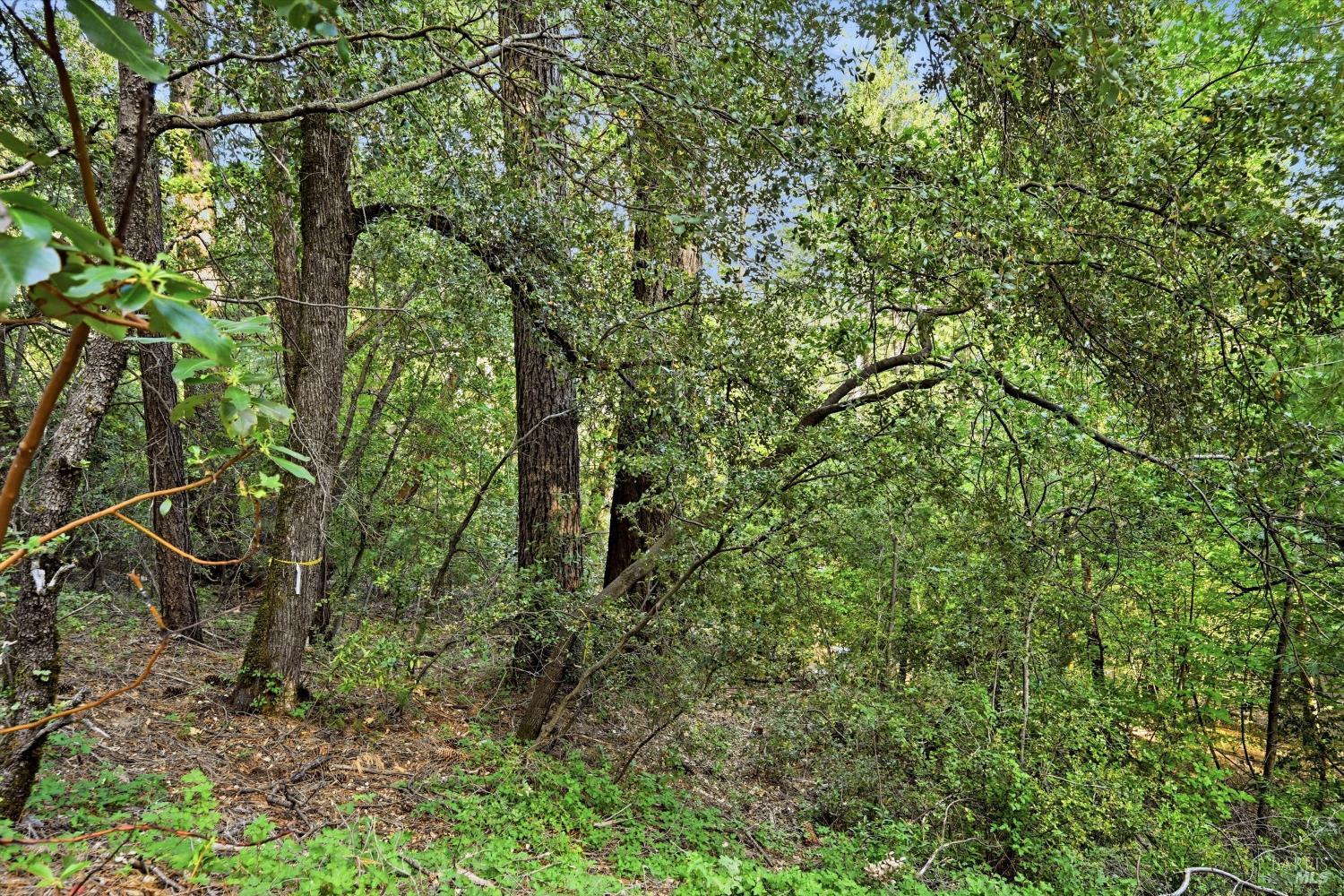 17097 Dogwood Way Middletown CA 95461