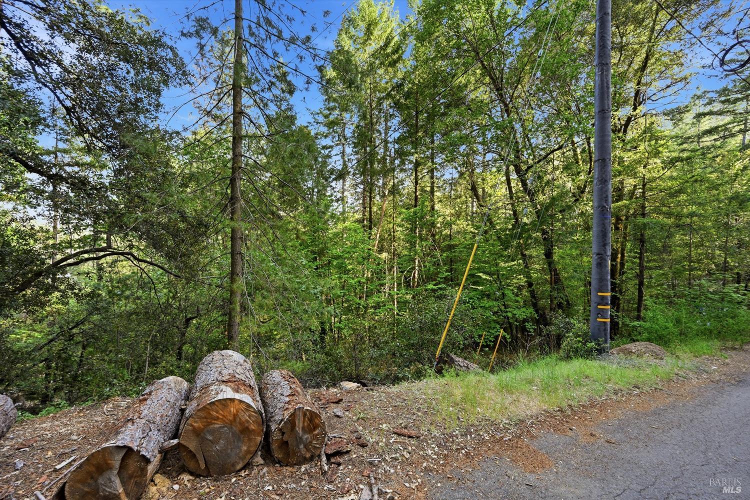 17097 Dogwood Way Middletown CA 95461