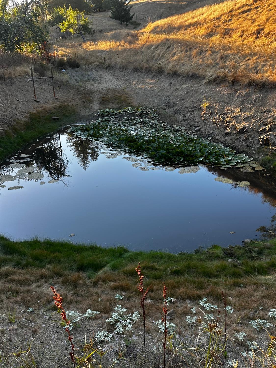 13333 Low Gap Road Ukiah CA 95482
