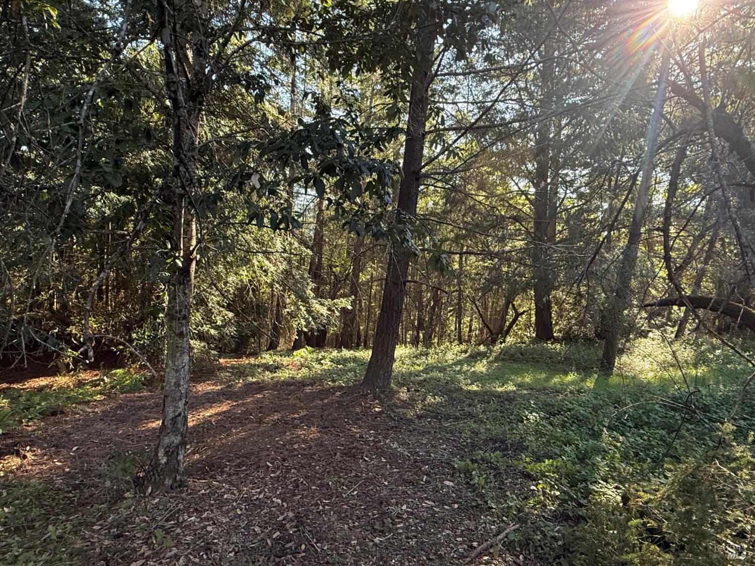 13333 Low Gap Road Ukiah CA 95482