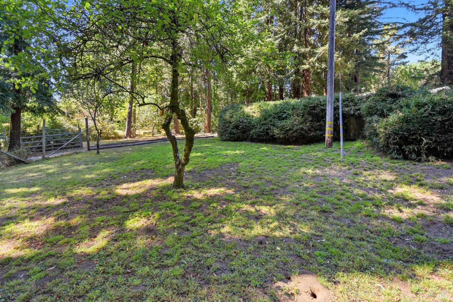 16960-16962 Taylor Lane Occidental CA 95465