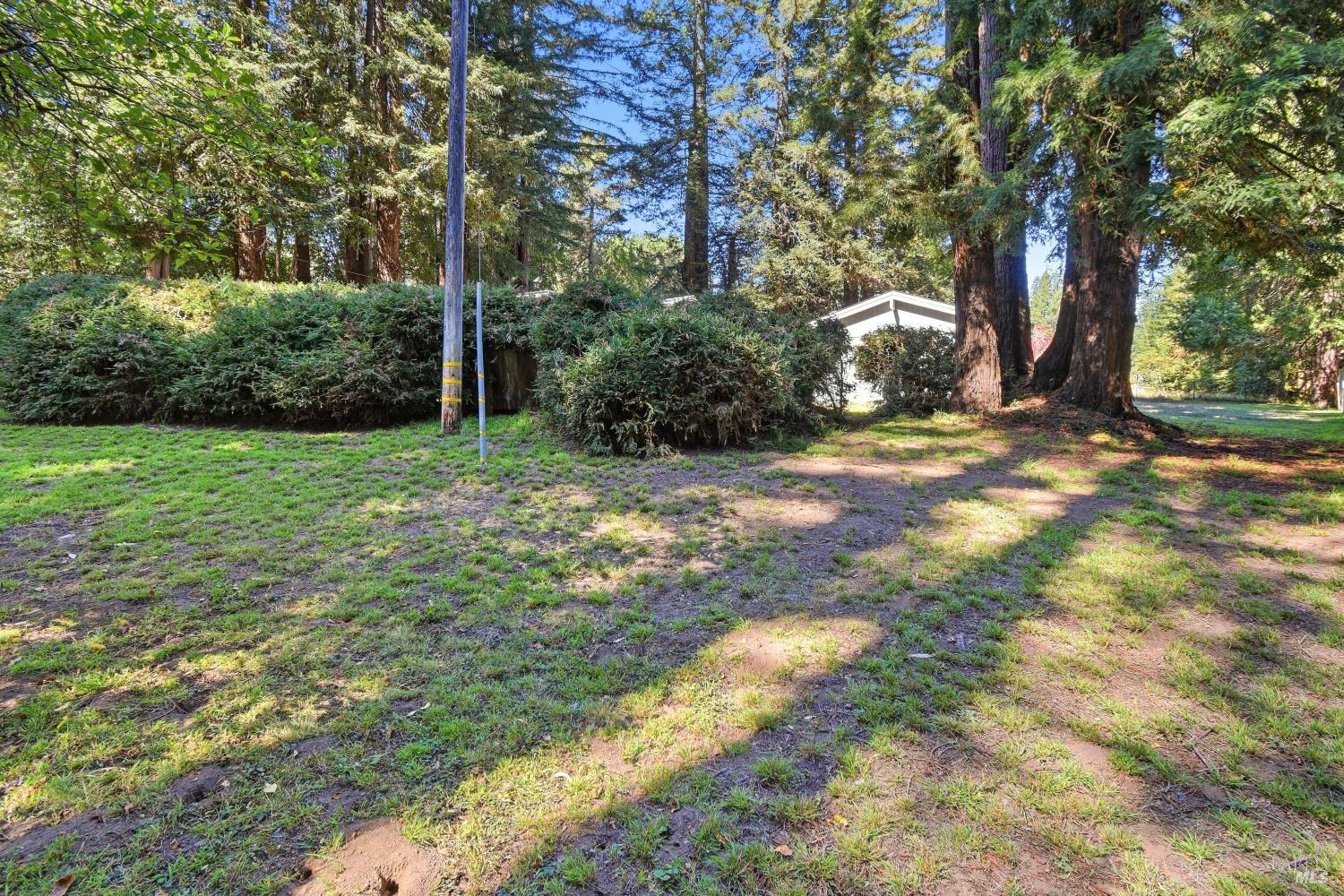16960-16962 Taylor Lane Occidental CA 95465
