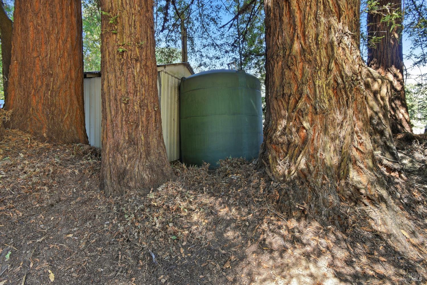 16960-16962 Taylor Lane Occidental CA 95465
