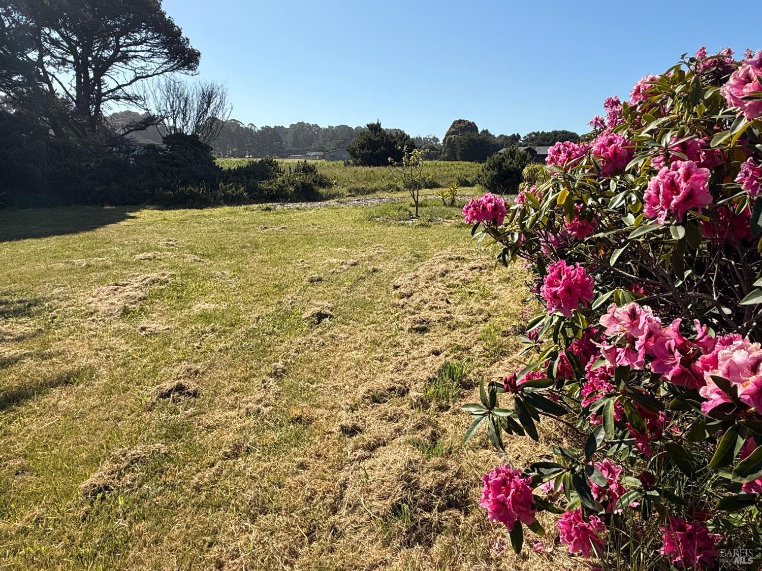 34450 Sunset Way Fort Bragg CA 95437