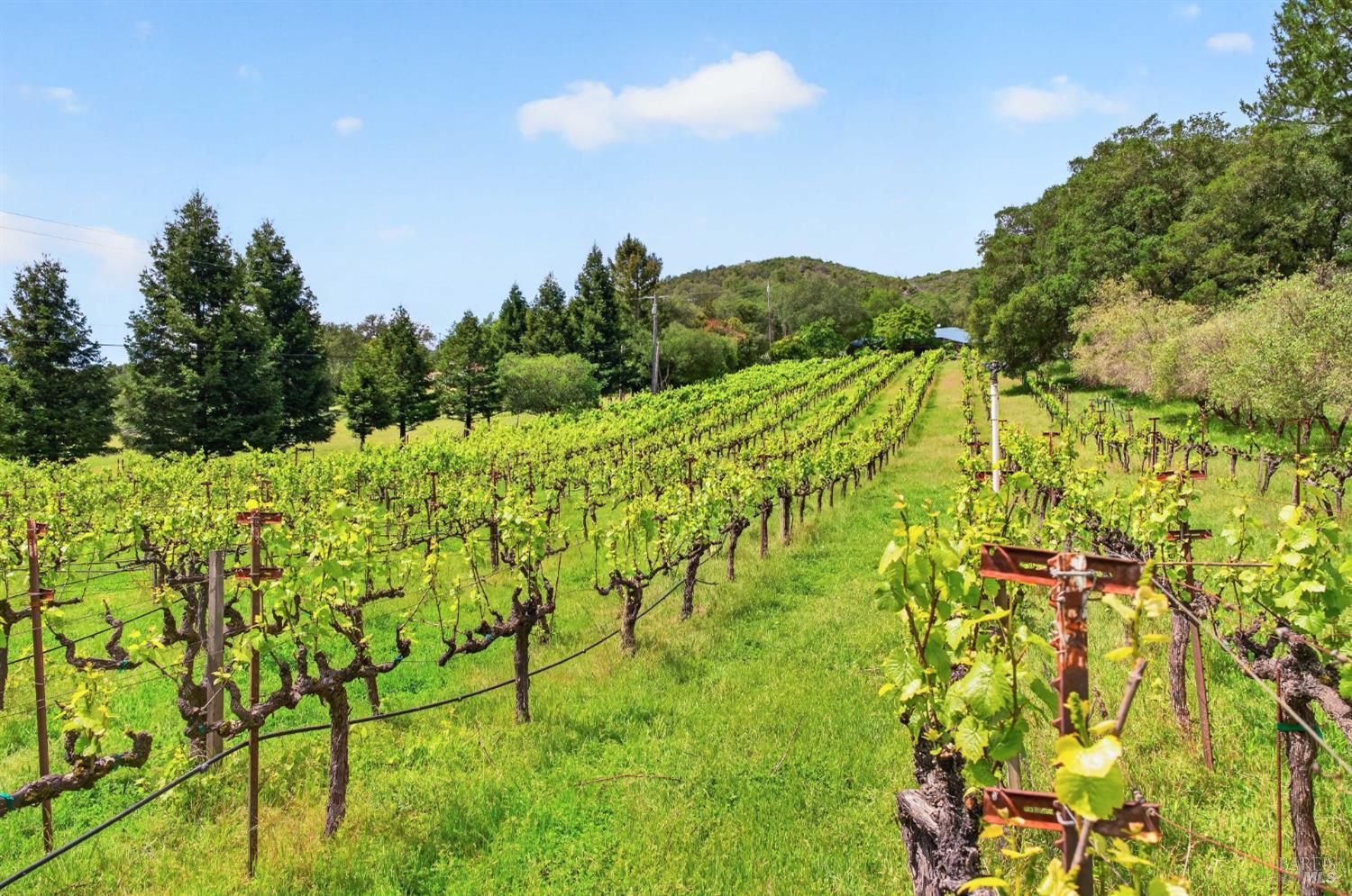 7440 Wild Horse Valley Road Napa CA 94558